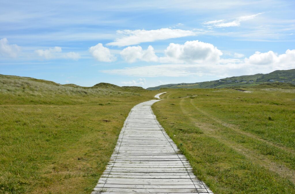 A tranquil scene of a wooden pathway through lush green meadows under a bright blue sky.